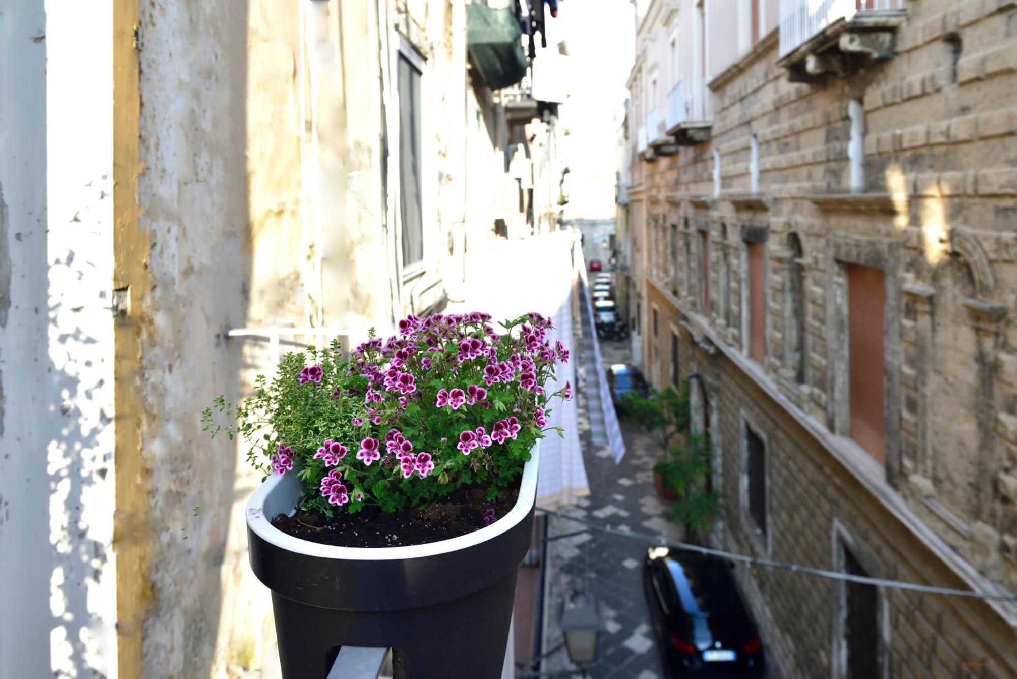 Ciaobari Apartment - Elegant 4 Bedrooms In The Heart Of Old Town Exterior photo